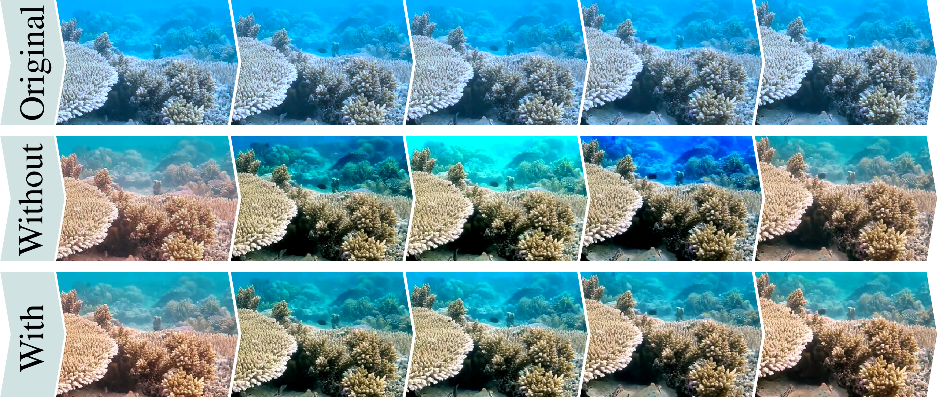 Two pictures of a coral reef, showcasing the instability of traditional tone-mapping methods compared to our method highlighting significant improvements in color consistency.