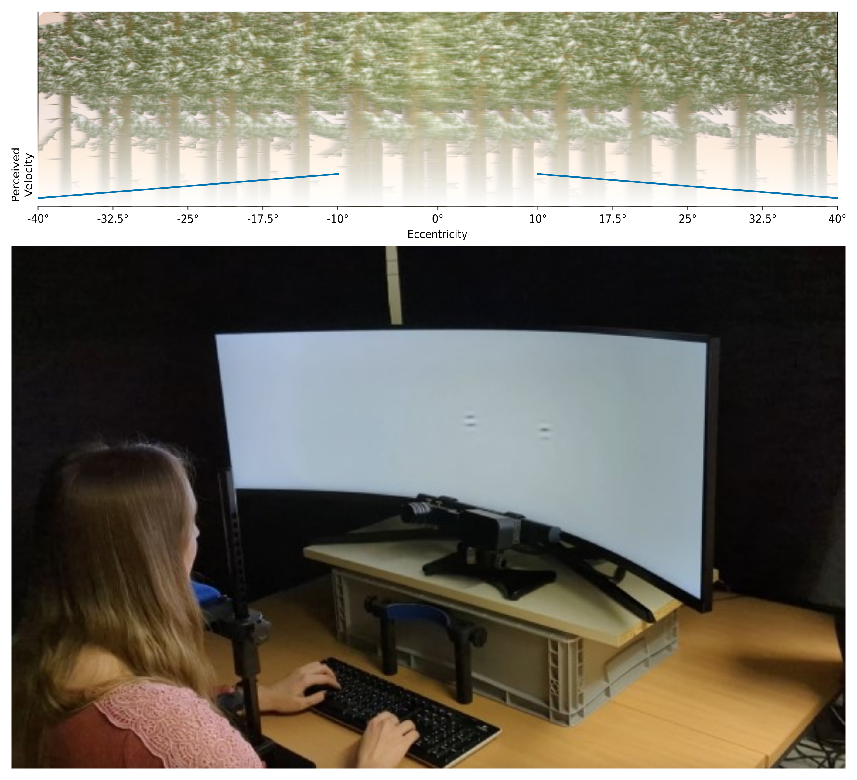 Reconstruction of two dynamic scenes from monocular video; dynamic scenes show camera frustums indicating recording trajectory of the input video